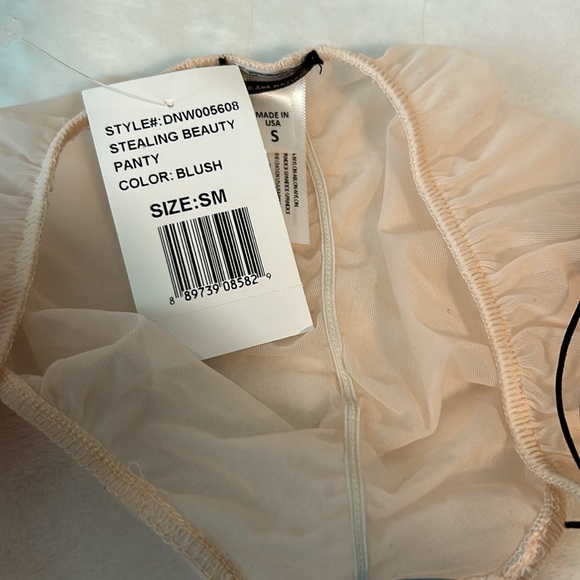 NWT Daydream Nation Stealing Beauty Panty - Picture 5 of 9